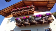 Casa & maso